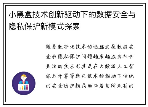 小黑盒技术创新驱动下的数据安全与隐私保护新模式探索